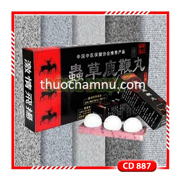 CD887 Viên Cao Cường Dương Đông Trùng Hạ Thảo