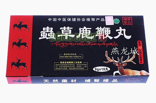 CD887 Viên Cao Cường Dương Đông Trùng Hạ Thảo