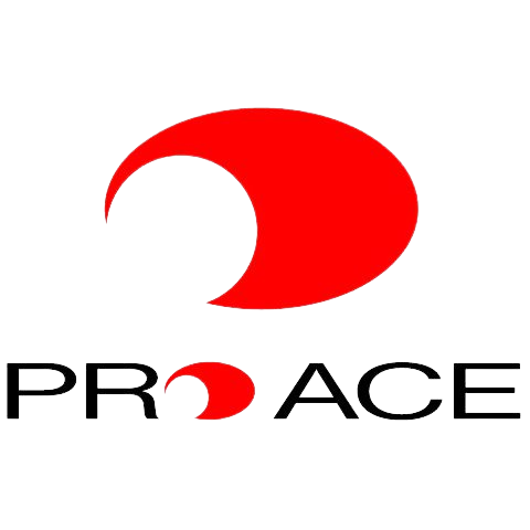 Vợt Cầu Lông Pro ACE