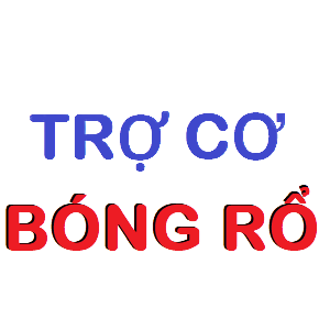 Trợ Cơ Chơi Bóng Rổ