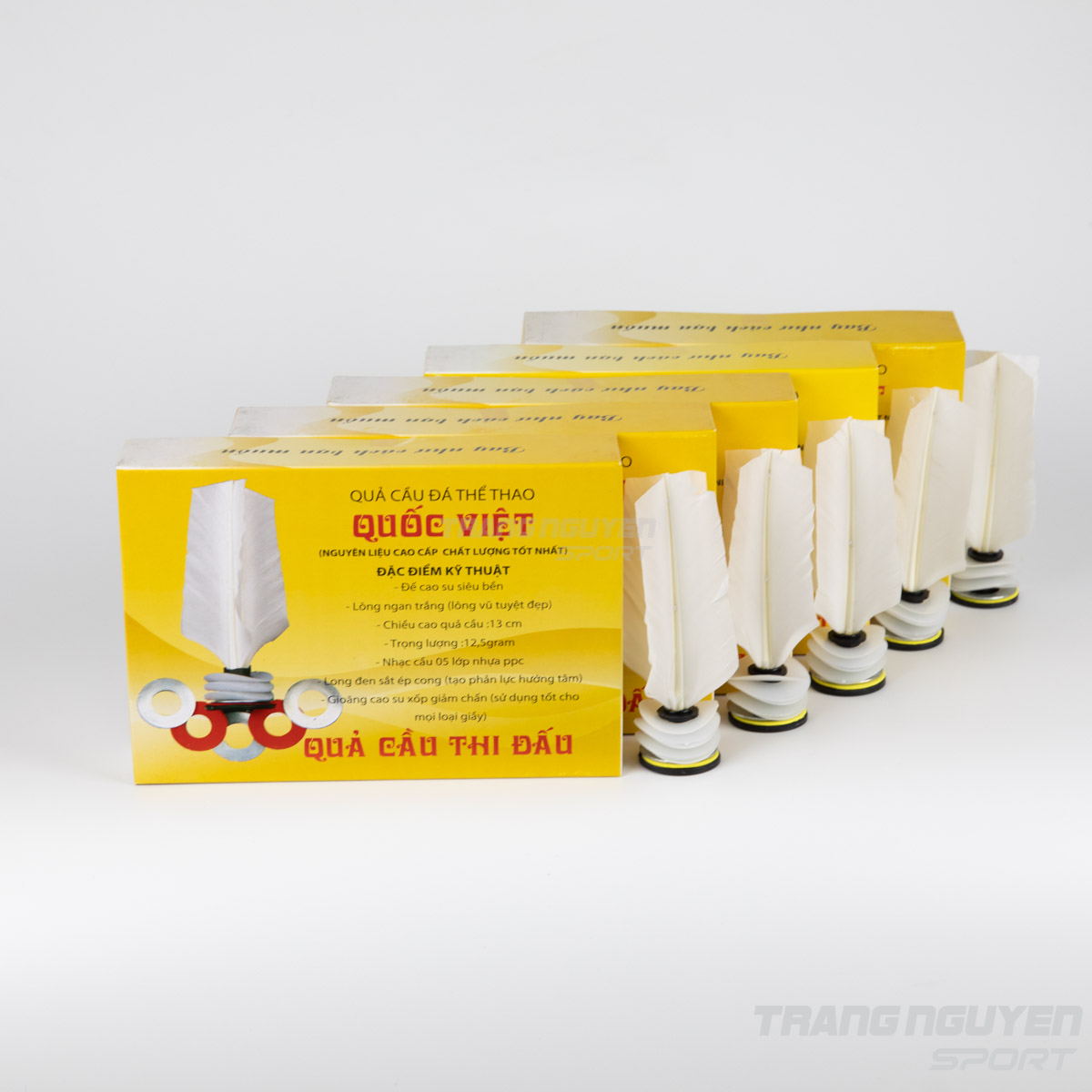 Cầu đá Quốc Việt Thi đấu