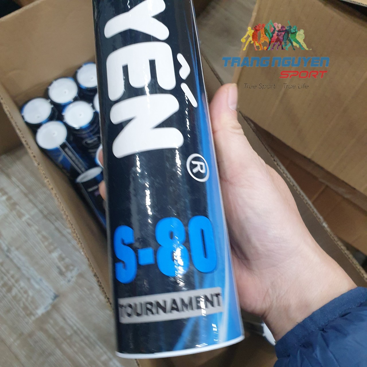 Combo 5 Hộp Cầu Lông Hải Yến S-80 Chơi Trong Nhà Năm 2024