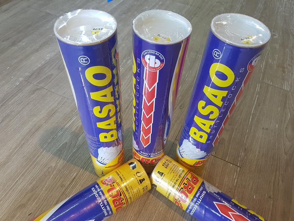 Thùng Cầu Lông Ba Sao Pro-2 Tím/vàng (New 2024) – 10 Quả Chơi Ngoài Trời