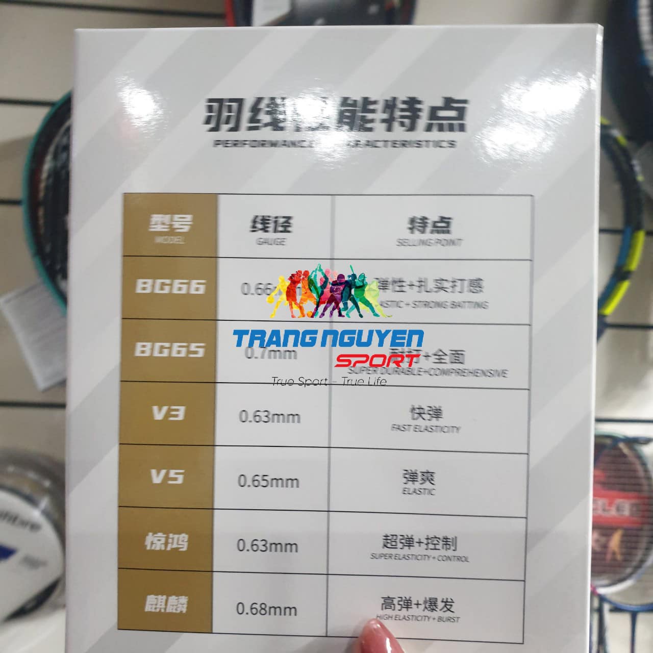 Dây Cước Căng Vợt Câu Lông VS BG66