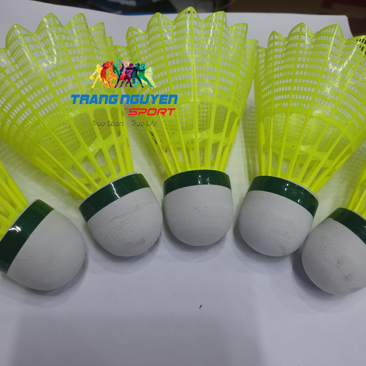 Quả Cầu Lông Nhựa Exercise 2000 K-2000 badminton feather shuttlecock