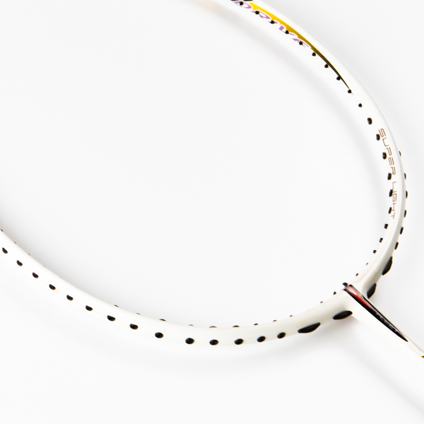 Vợt Cầu Lông Fleet PROFESSIONAL 3800