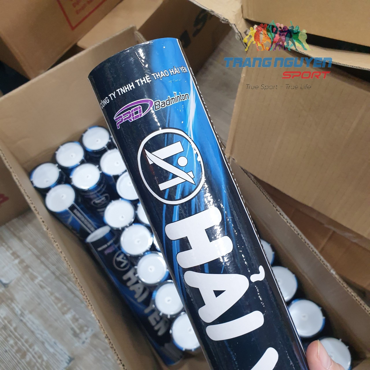 Combo 5 Hộp Cầu Lông Hải Yến S-80 Chơi Trong Nhà Năm 2024