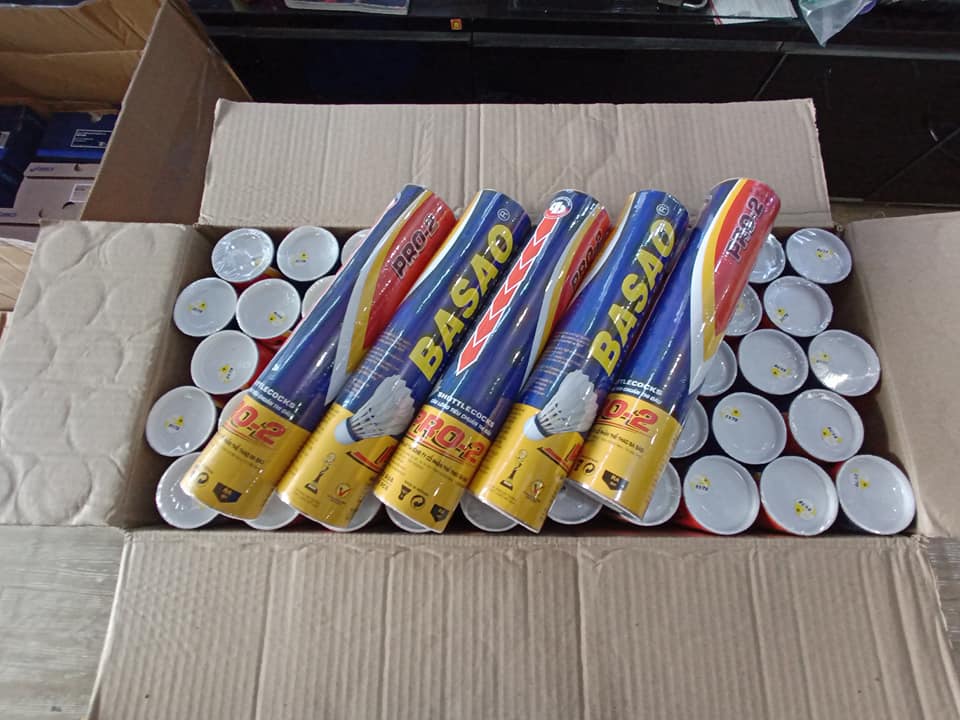 Thùng Cầu Lông Ba Sao Pro-2 Tím/vàng (New 2024) – 10 Quả Chơi Ngoài Trời