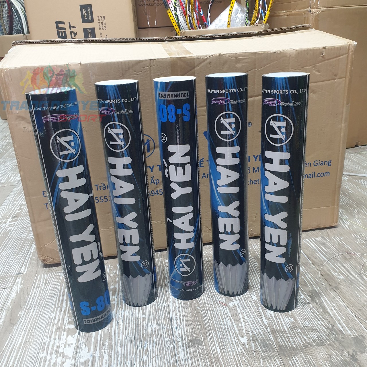 Combo 5 Hộp Cầu Lông Hải Yến S-80 Chơi Trong Nhà Năm 2024