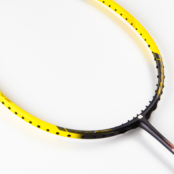 Vợt Cầu Lông Apacs TERRIFIC 228