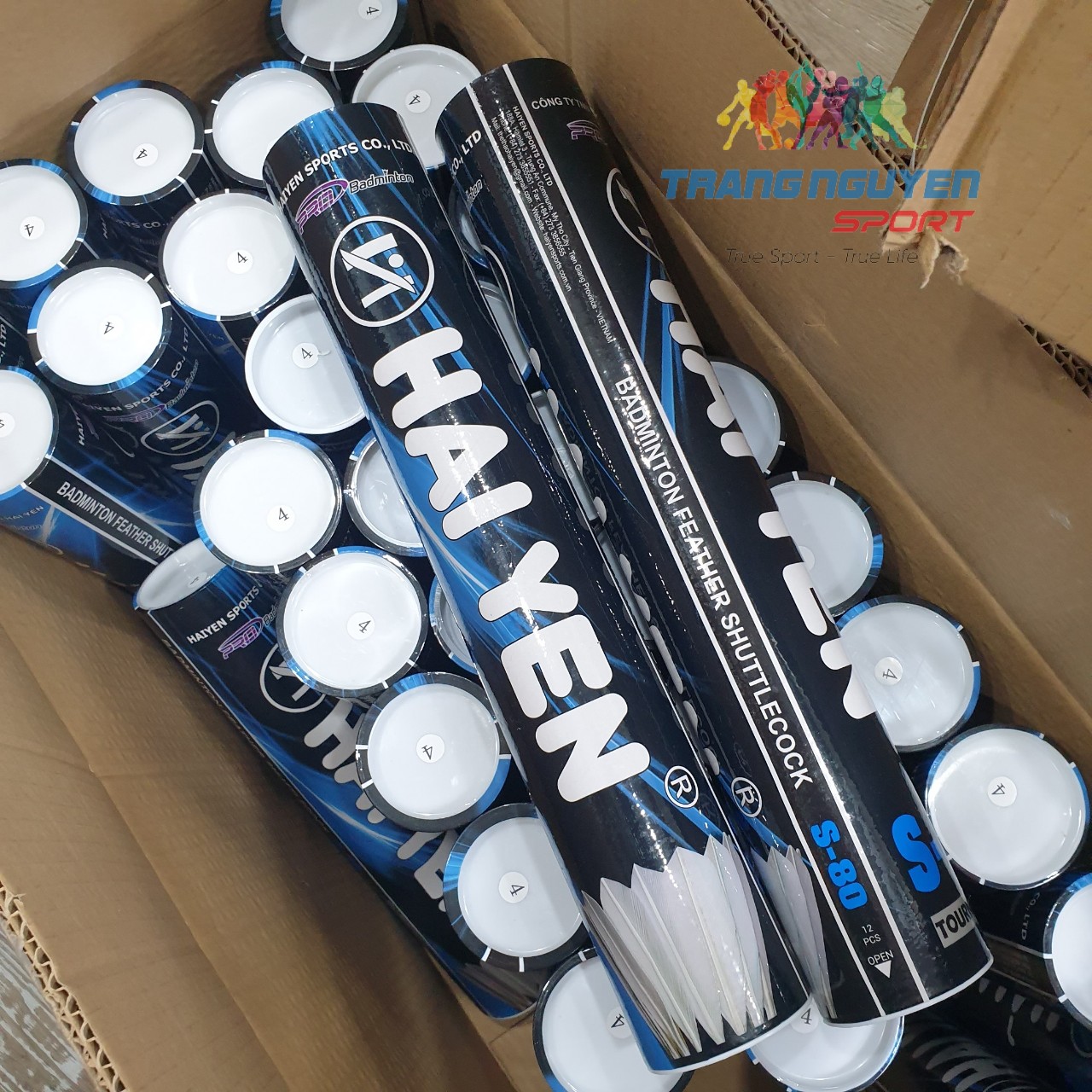 Combo 5 Hộp Cầu Lông Hải Yến S-80 Chơi Trong Nhà Năm 2024