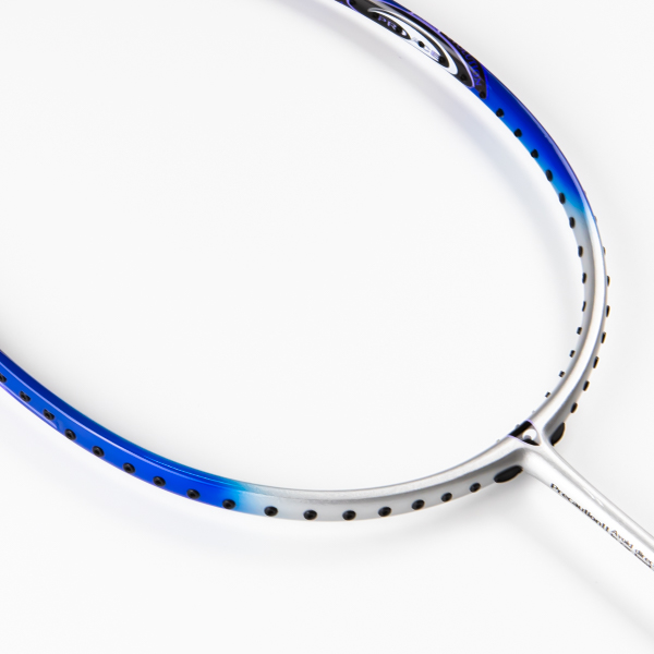 Vợt Cầu Lông Proace EVOLUTION 6.5