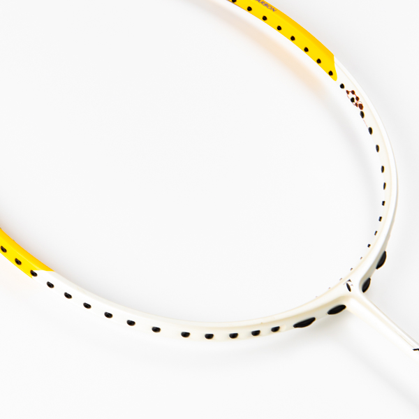 Vợt Cầu Lông Fleet PROFESSIONAL TI 5500