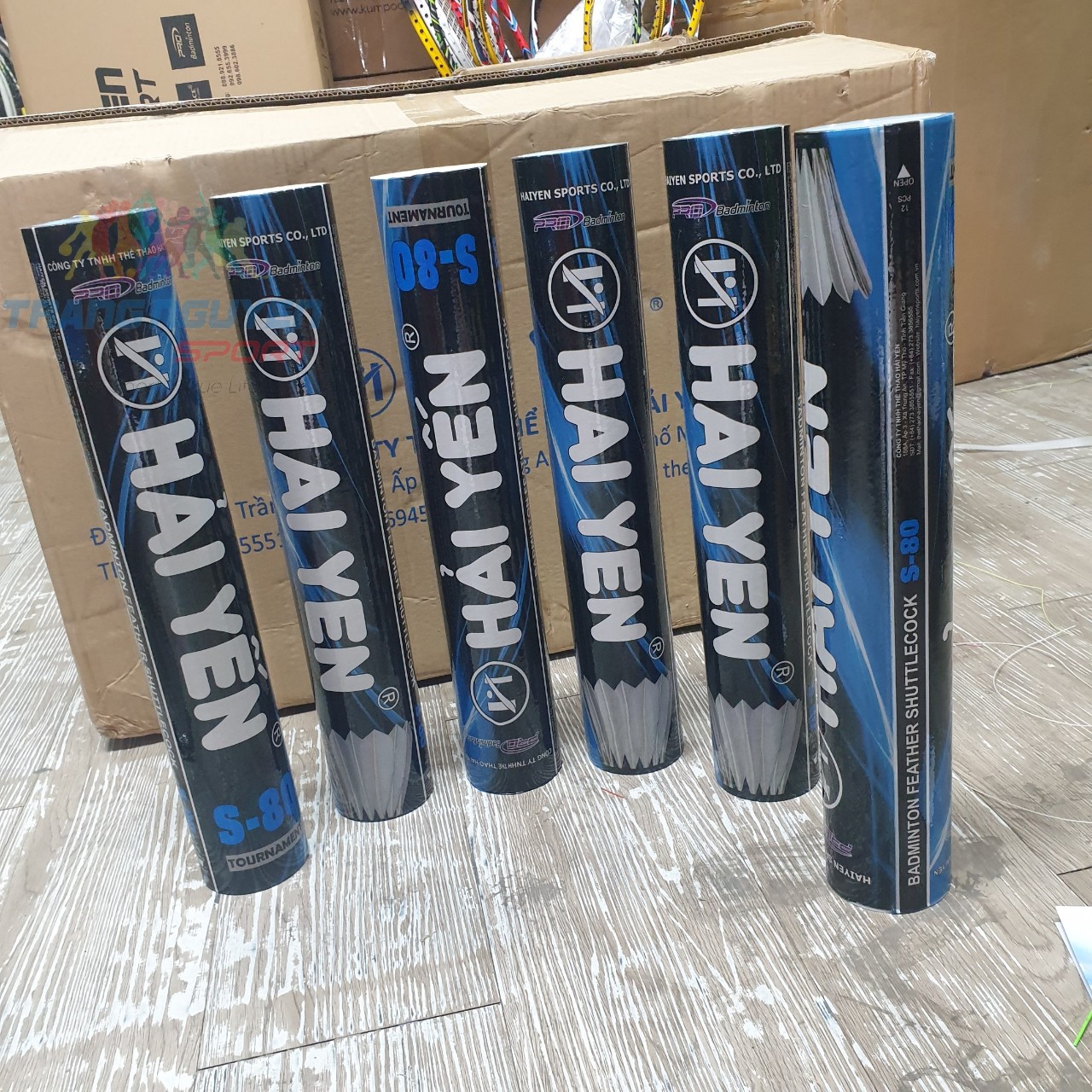 Combo 5 Hộp Cầu Lông Hải Yến S-80 Chơi Trong Nhà Năm 2024