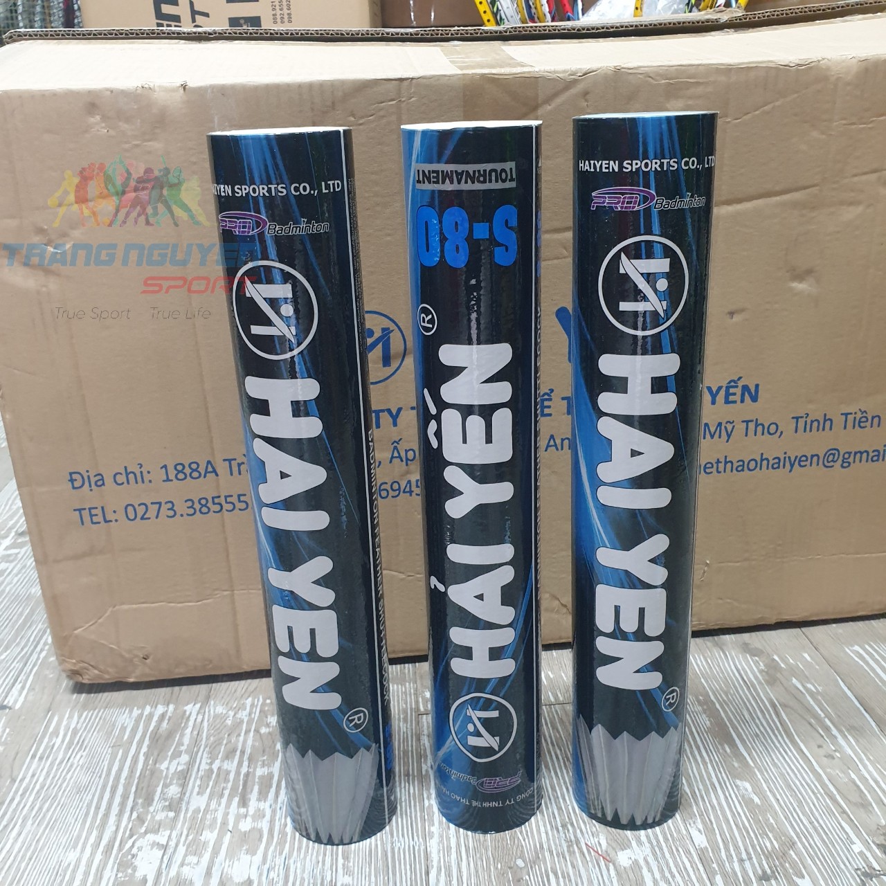 Combo 5 Hộp Cầu Lông Hải Yến S-80 Chơi Trong Nhà Năm 2024