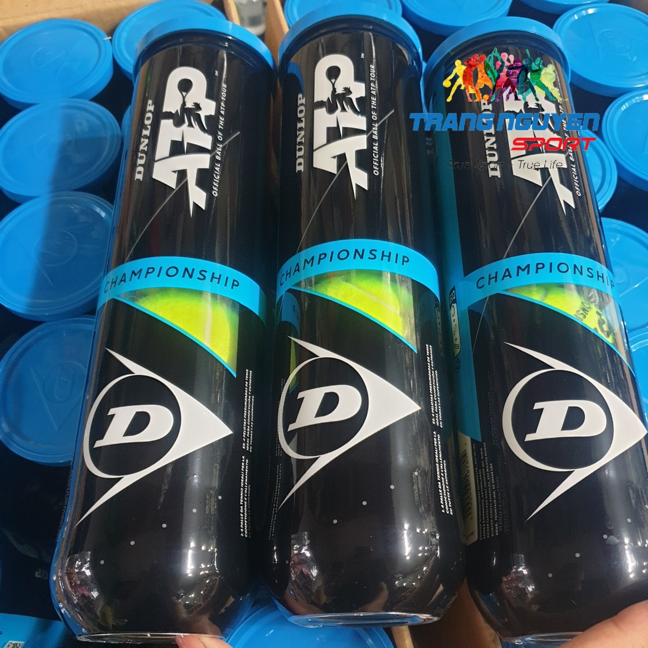 Bóng Tennis Dunlop ATP OFFICIAL (4 quả/hộp)