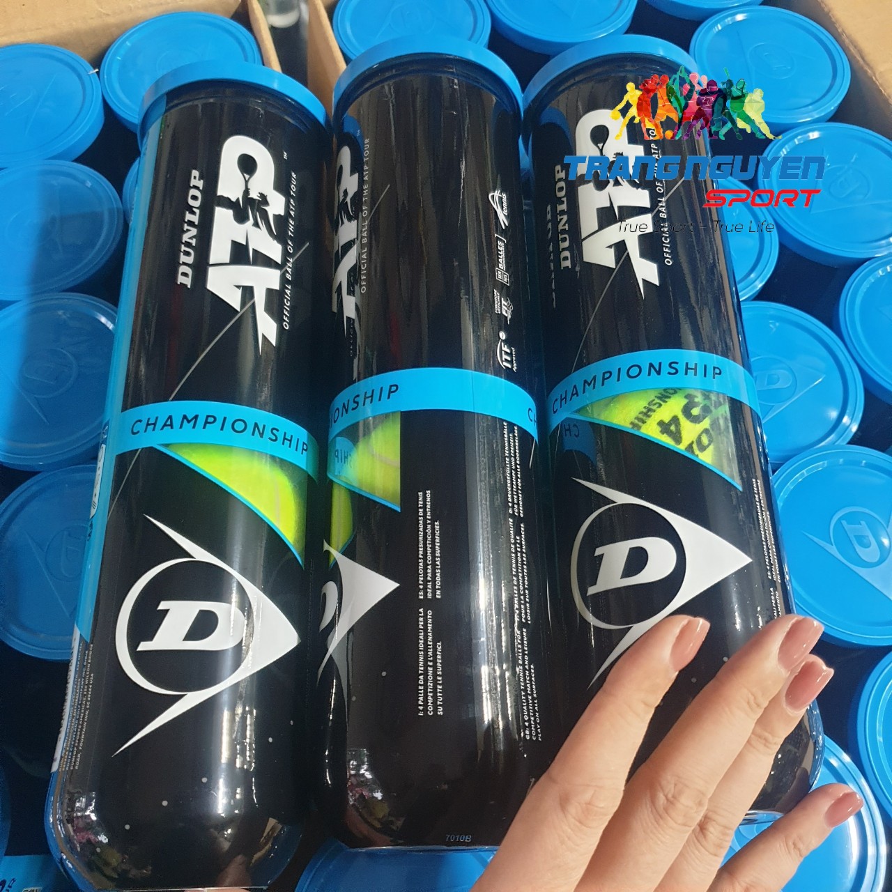 Bóng Tennis Dunlop ATP OFFICIAL (4 quả/hộp)
