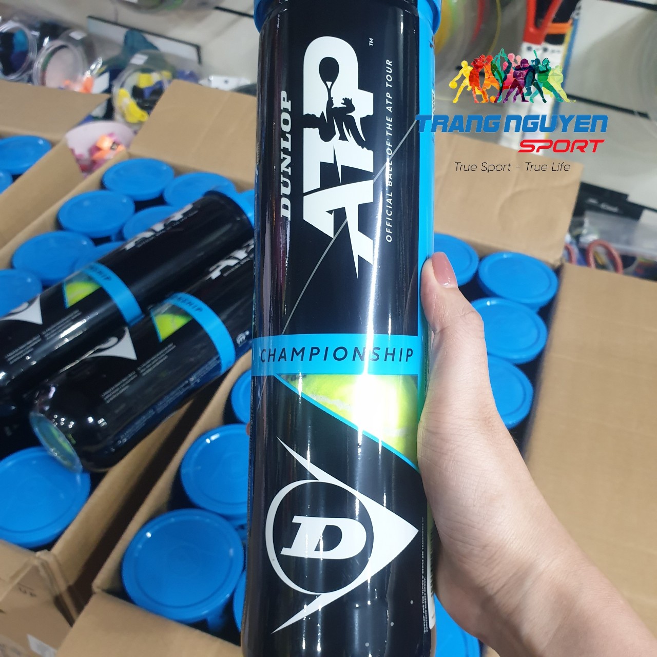 Bóng Tennis Dunlop ATP OFFICIAL (4 quả/hộp)