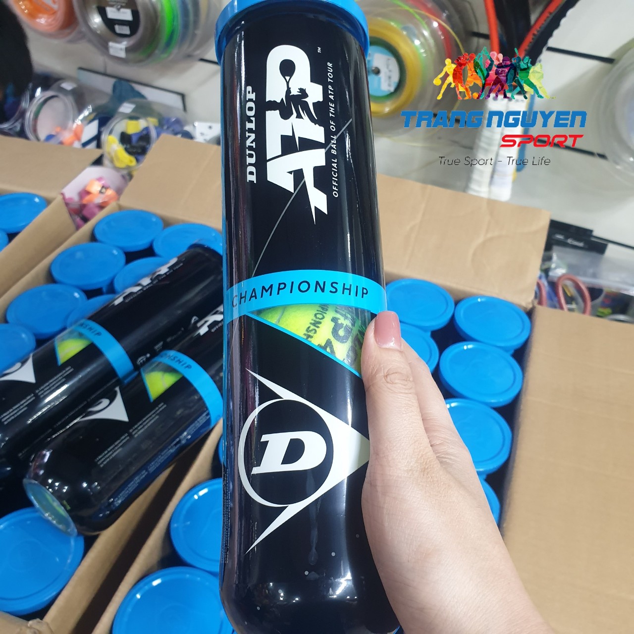Bóng Tennis Dunlop ATP OFFICIAL (4 quả/hộp)