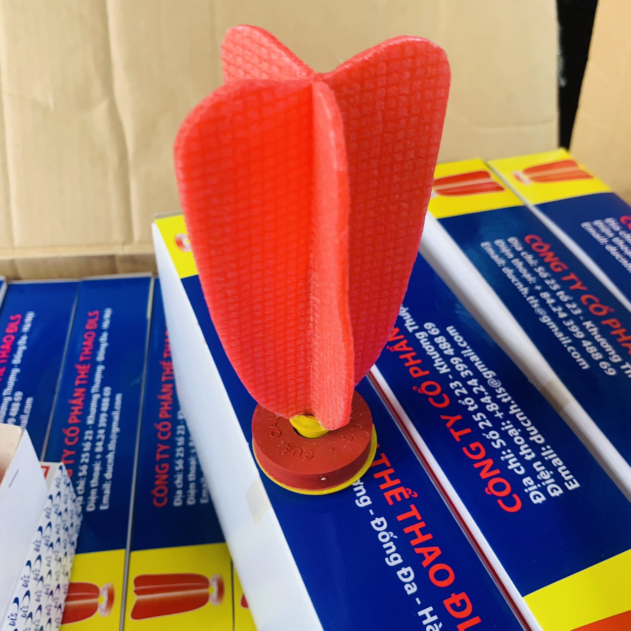 Quả cầu đá thi đấu DLS