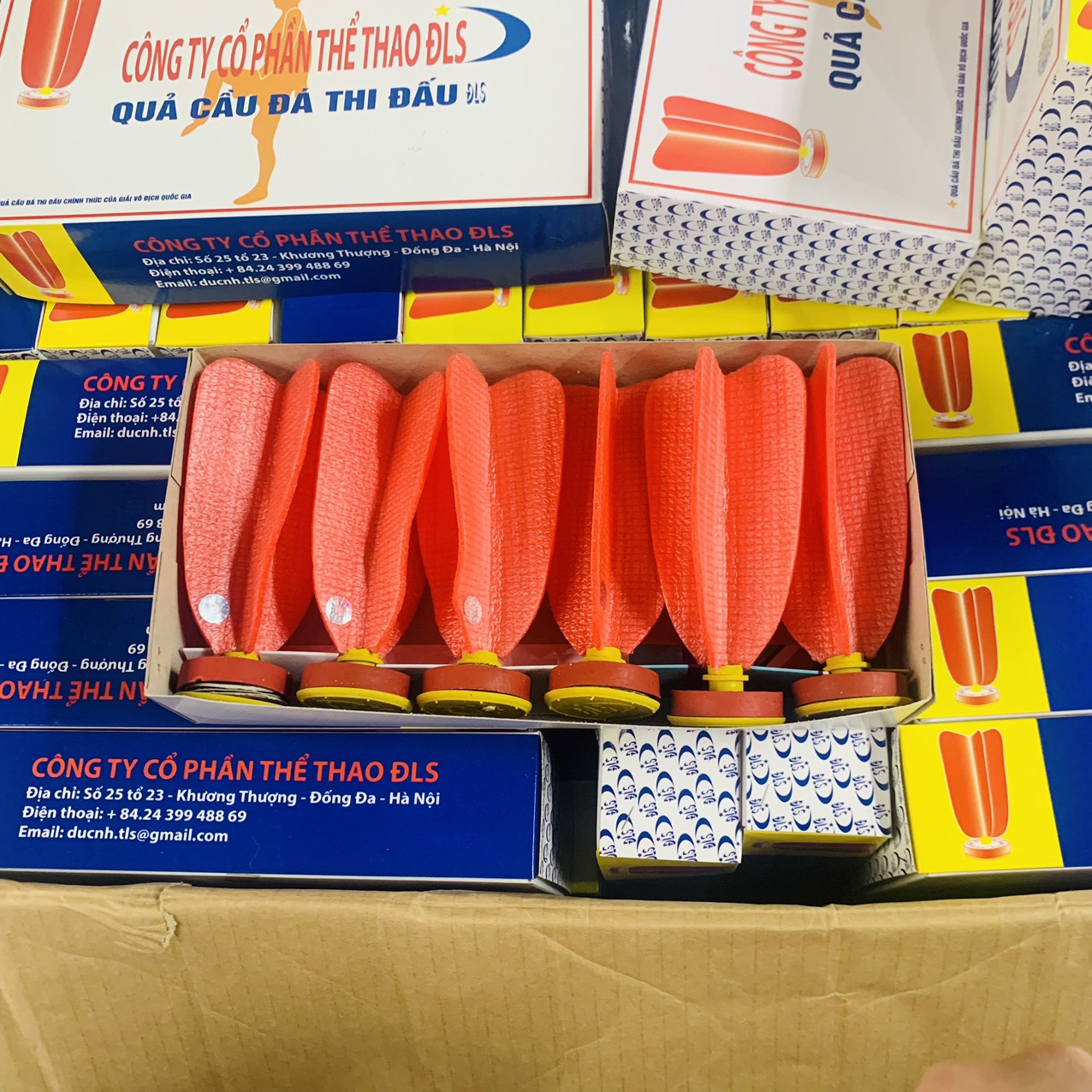 Quả cầu đá thi đấu DLS