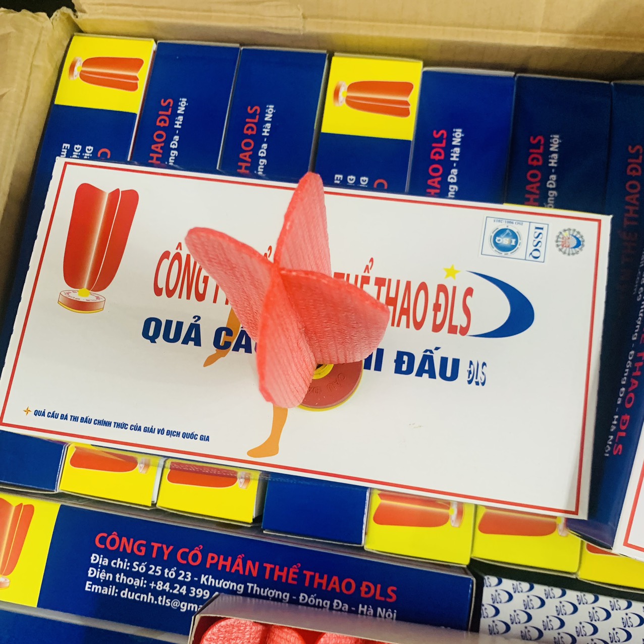 Quả cầu đá thi đấu DLS