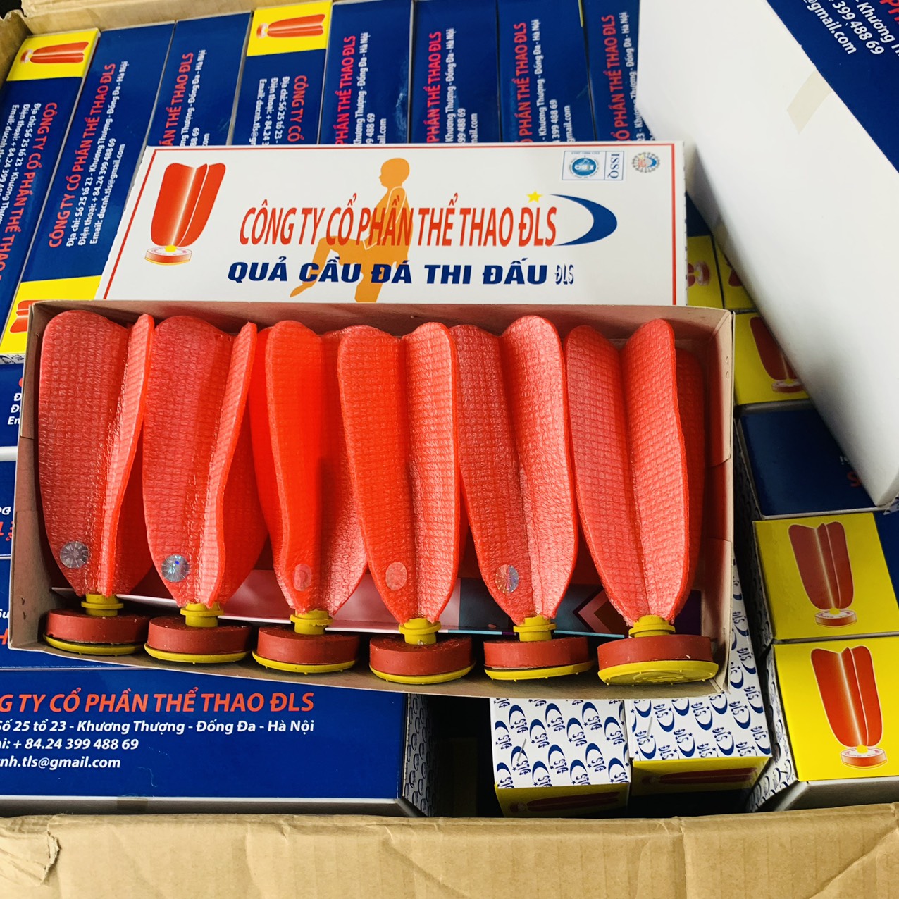 Quả cầu đá thi đấu DLS