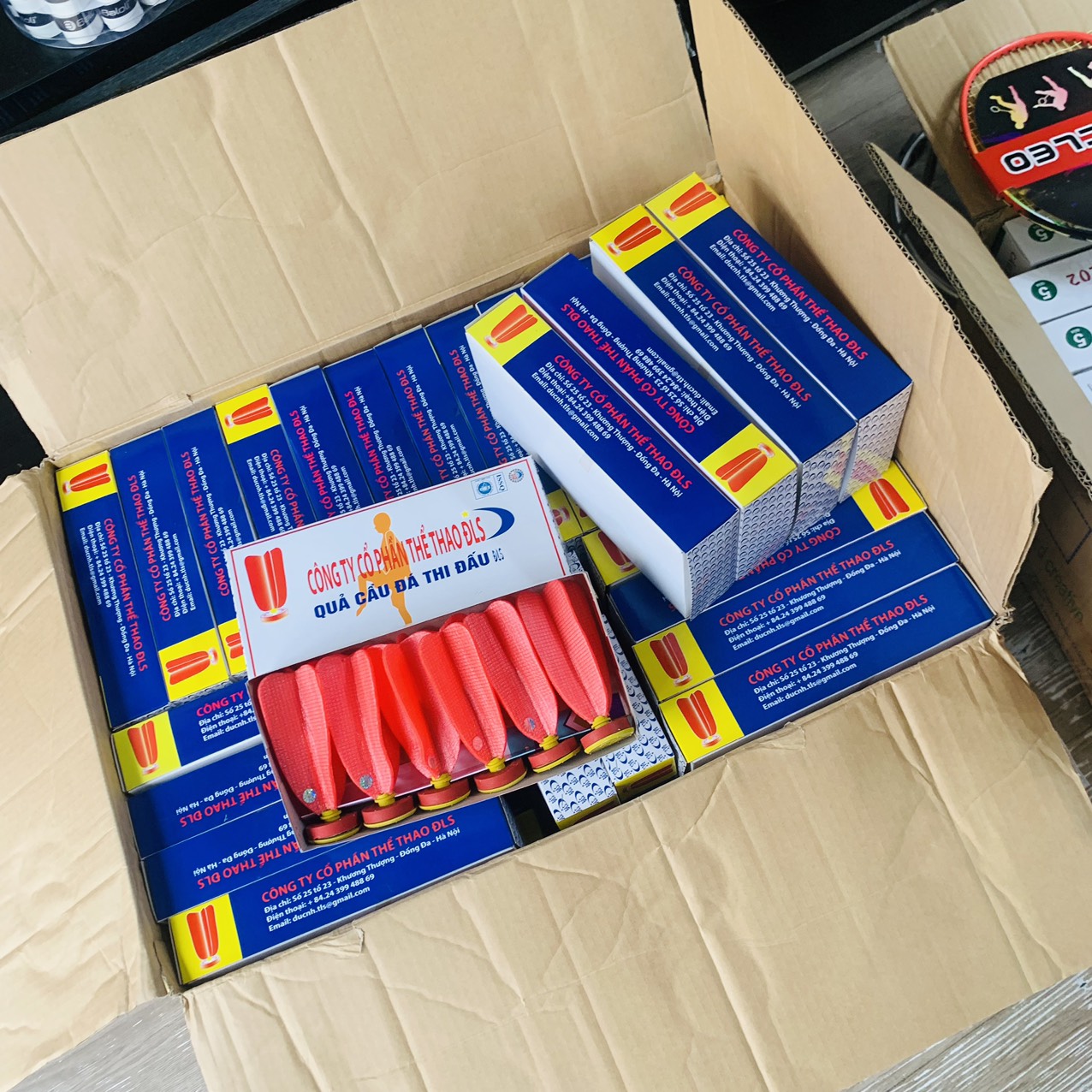 Quả cầu đá thi đấu DLS