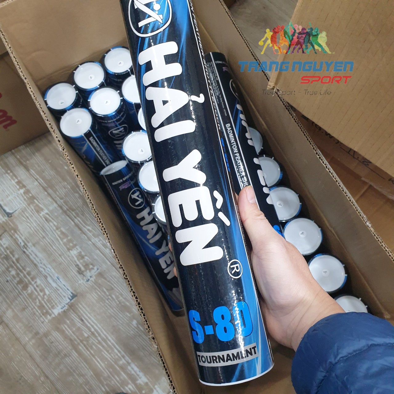 Combo 5 Hộp Cầu Lông Hải Yến S-80 Chơi Trong Nhà Năm 2024