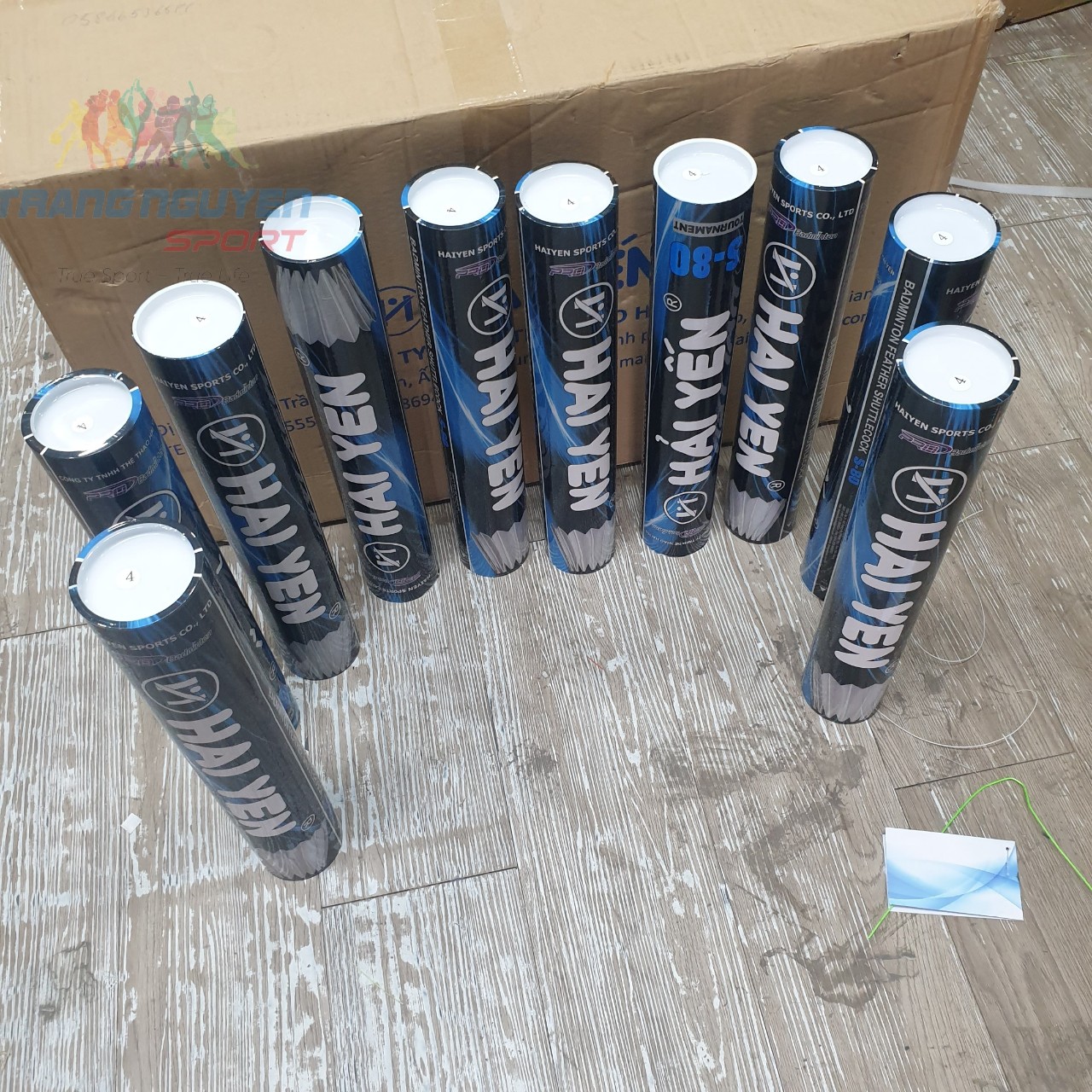 Combo 5 Hộp Cầu Lông Hải Yến S-80 Chơi Trong Nhà Năm 2024