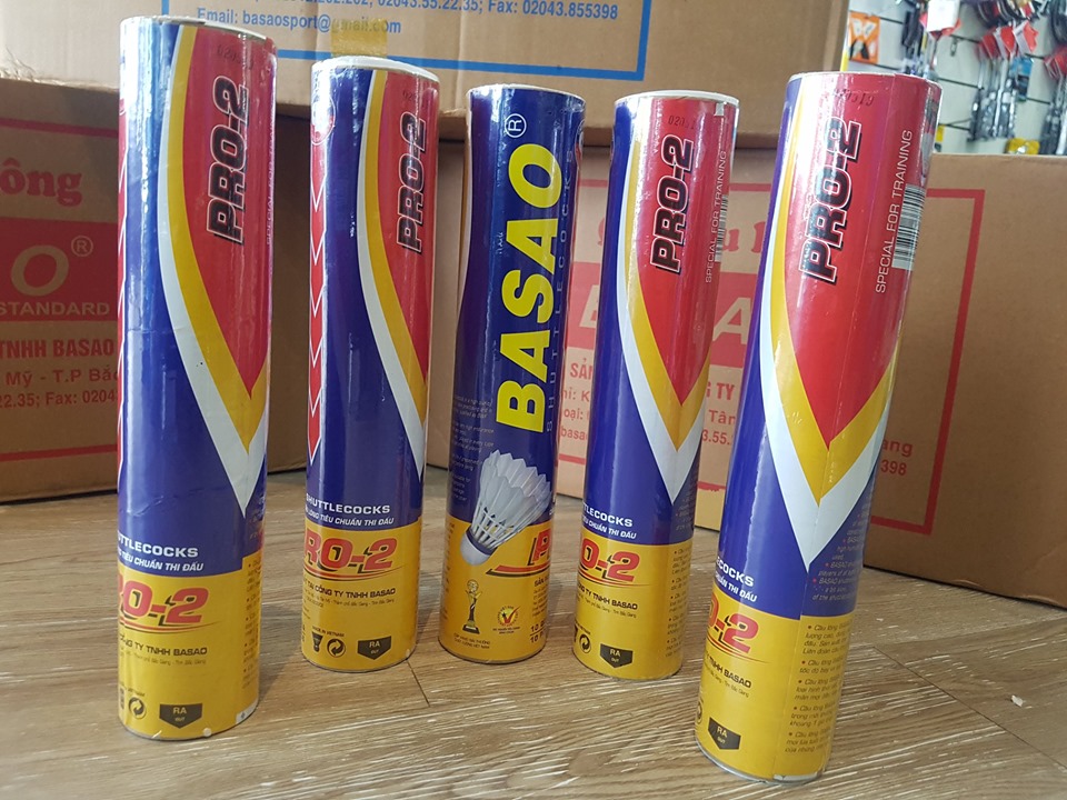 Quả cầu lông Basao Pro 2 Tiêu Chuẩn Thi Đấu ( Cầu chơi ngoài trời)