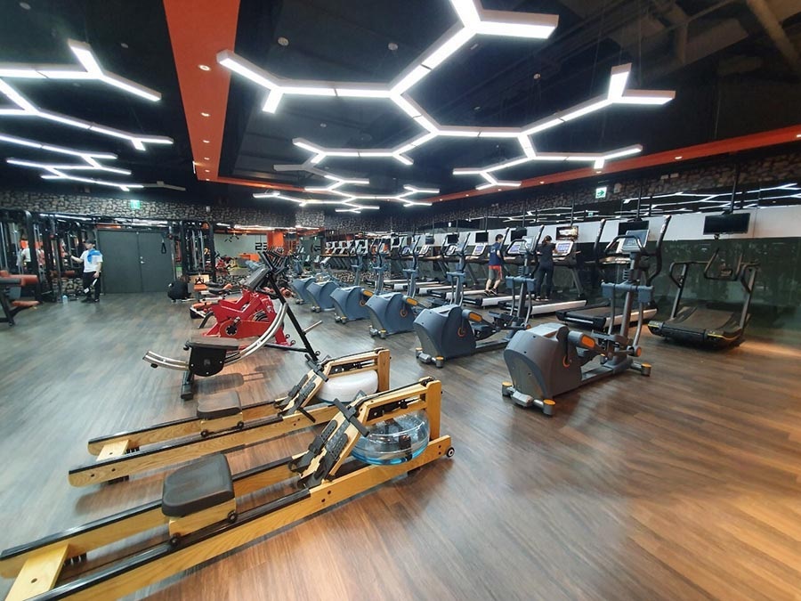 Đèn LED Phòng Gym - Yoga - Boxing Tập Thể Dục Trong Nhà ZALAA