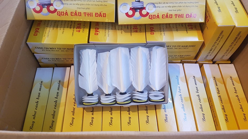 Cầu đá Quốc Việt tiêu chuẩn thi đấu