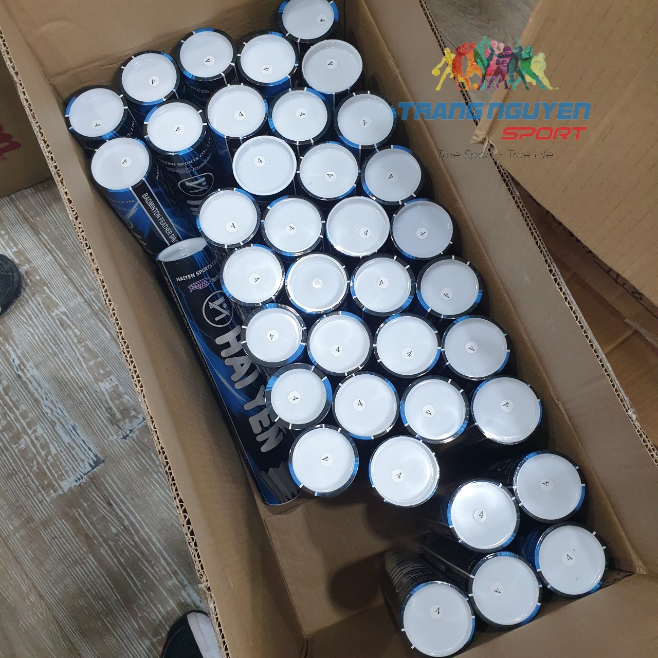 Combo 5 Hộp Cầu Lông Hải Yến S-80 Chơi Trong Nhà Năm 2024