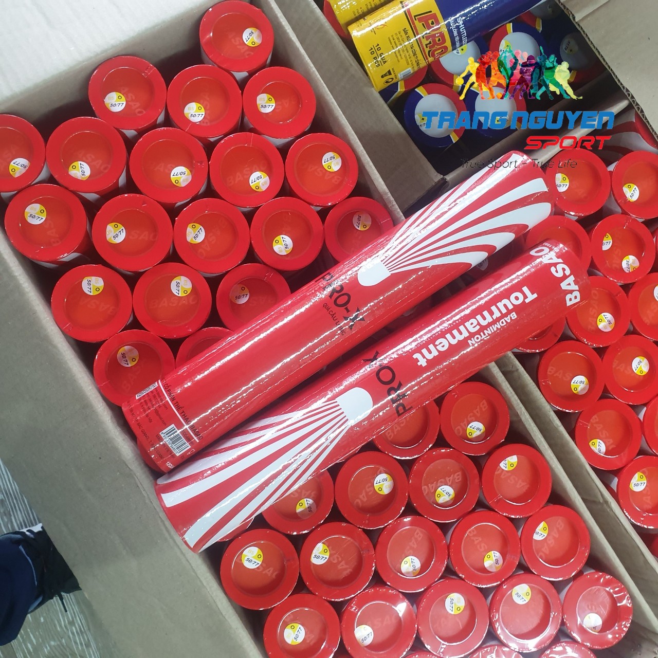 Quả Cầu Lông Basao Pro-X Chính Hãng - Giá Tốt Nhất 2025 | Trang Nguyên Sport