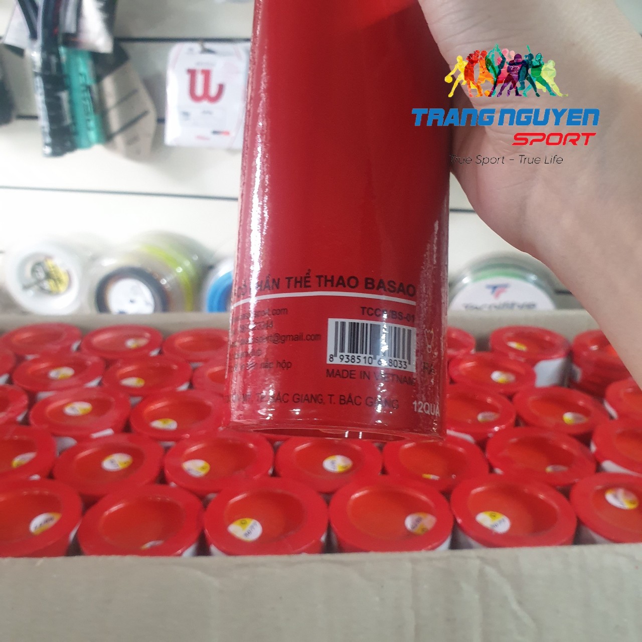 Quả Cầu Lông Basao Pro-X Chính Hãng - Giá Tốt Nhất 2025 | Trang Nguyên Sport