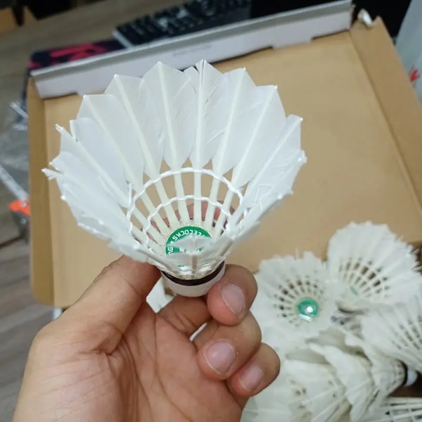 Quả Cầu Lông Cũ - Hàng Gom Từ Các Sân Chơi Trong Nhà