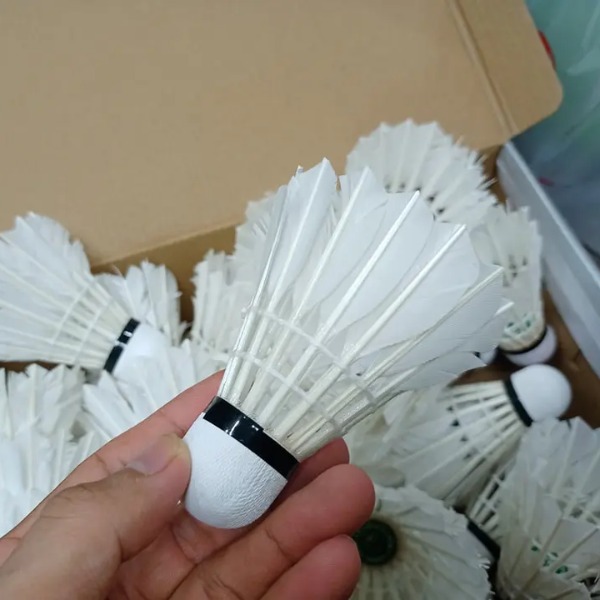 Quả Cầu Lông Cũ - Hàng Gom Từ Các Sân Chơi Trong Nhà