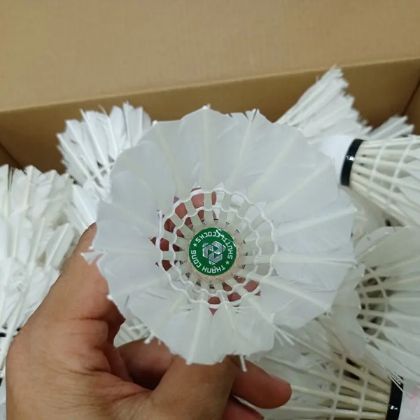 Quả Cầu Lông Cũ - Hàng Gom Từ Các Sân Chơi Trong Nhà