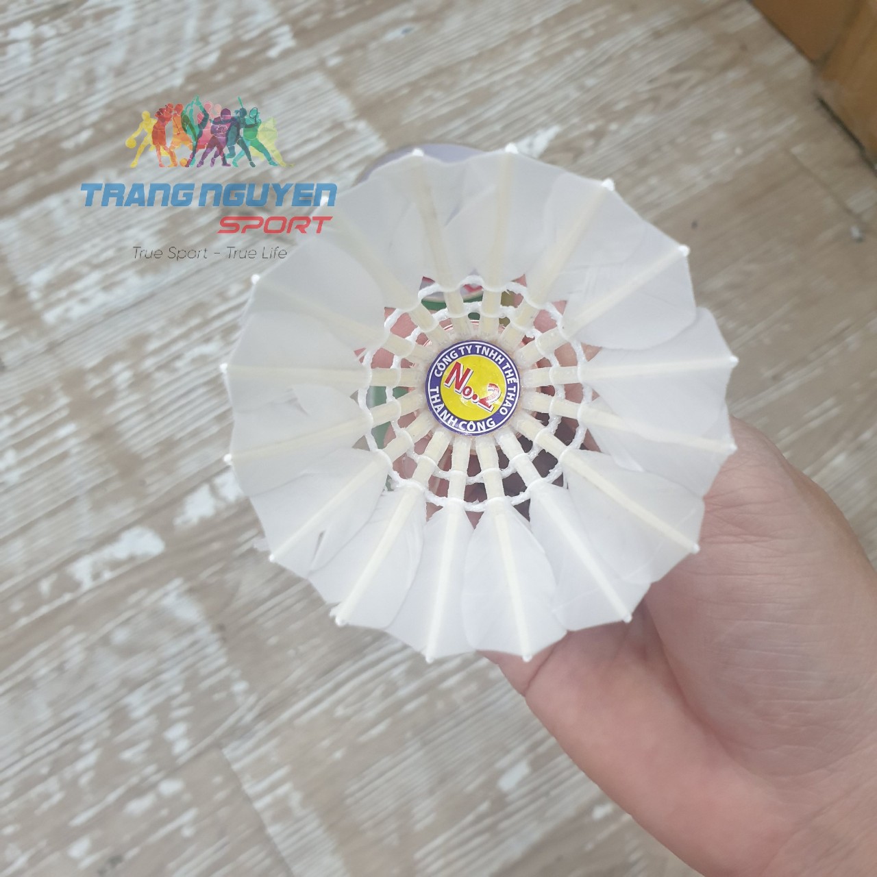 Thùng 50 Hộp Cầu Lông Thành Công No 2 - Tập Luyện/Chơi Phong Trào