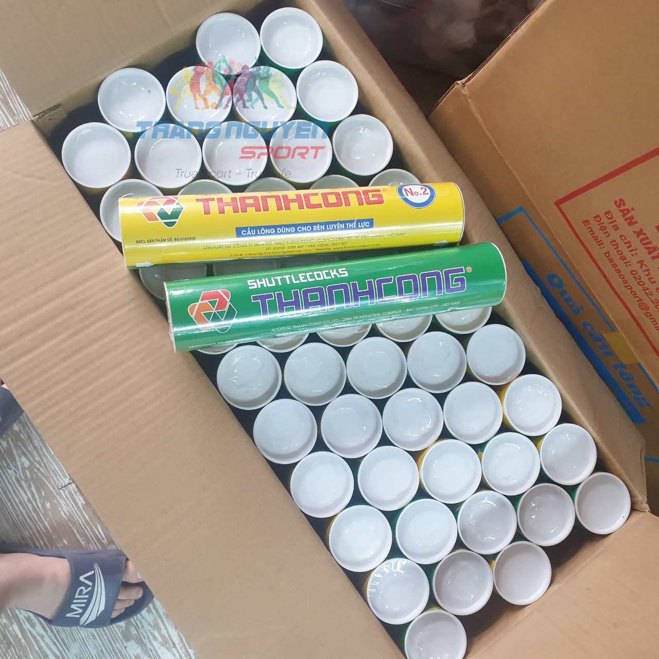 Thùng 50 Hộp Cầu Lông Thành Công No 2 - Tập Luyện/Chơi Phong Trào