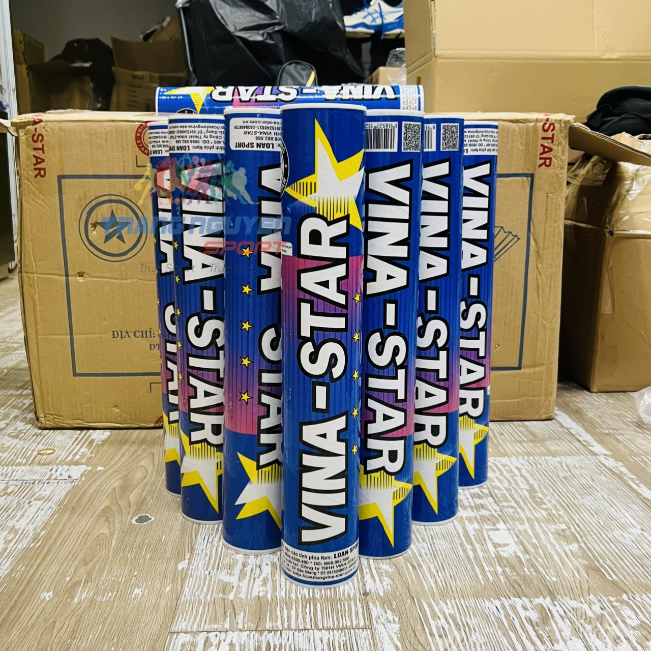 Quả Cầu Lông Vina-Star Hộp Xanh 12 Quả Loại 1