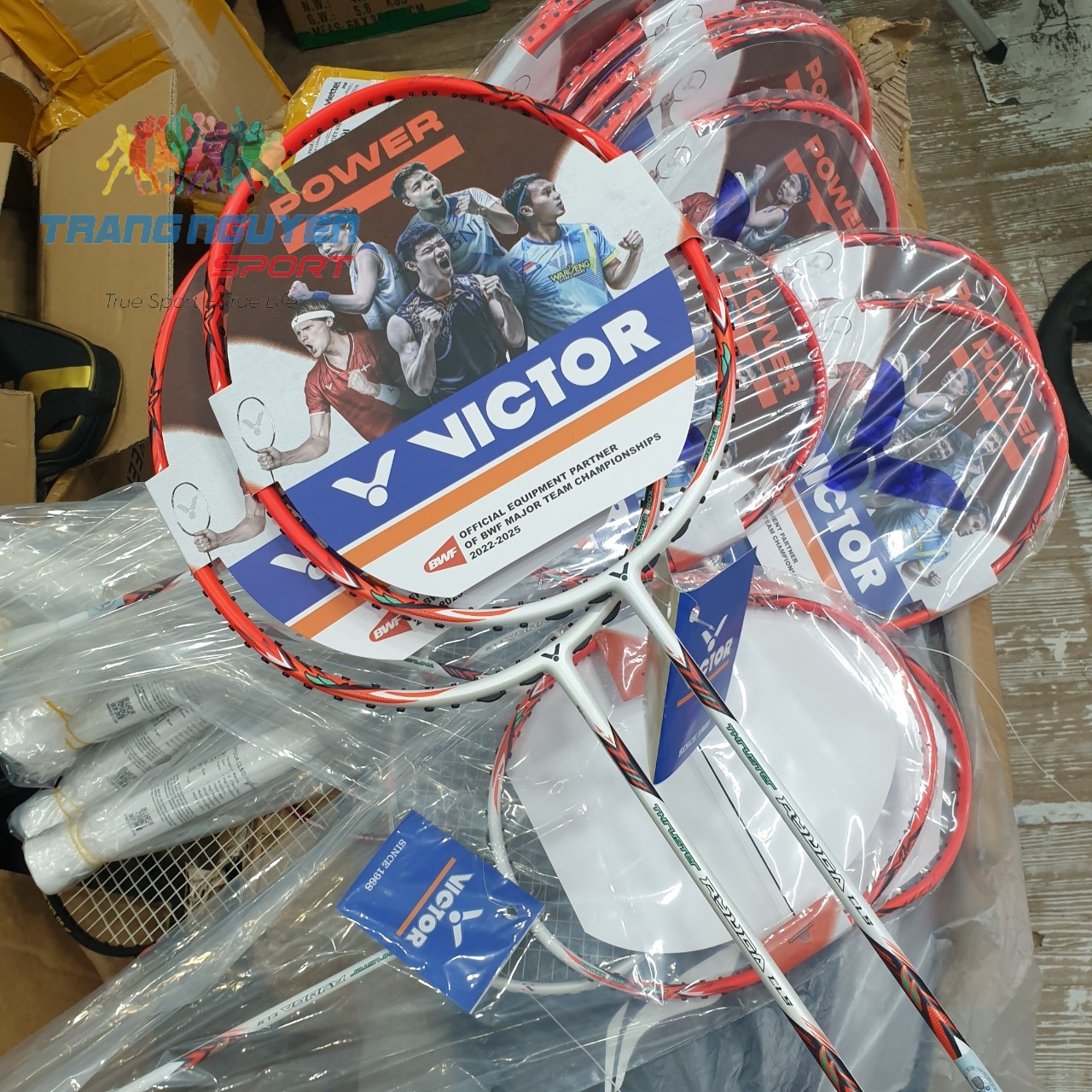 Vợt Cầu Lông Victor Thruster RYUGA CLS/D Chính Hãng