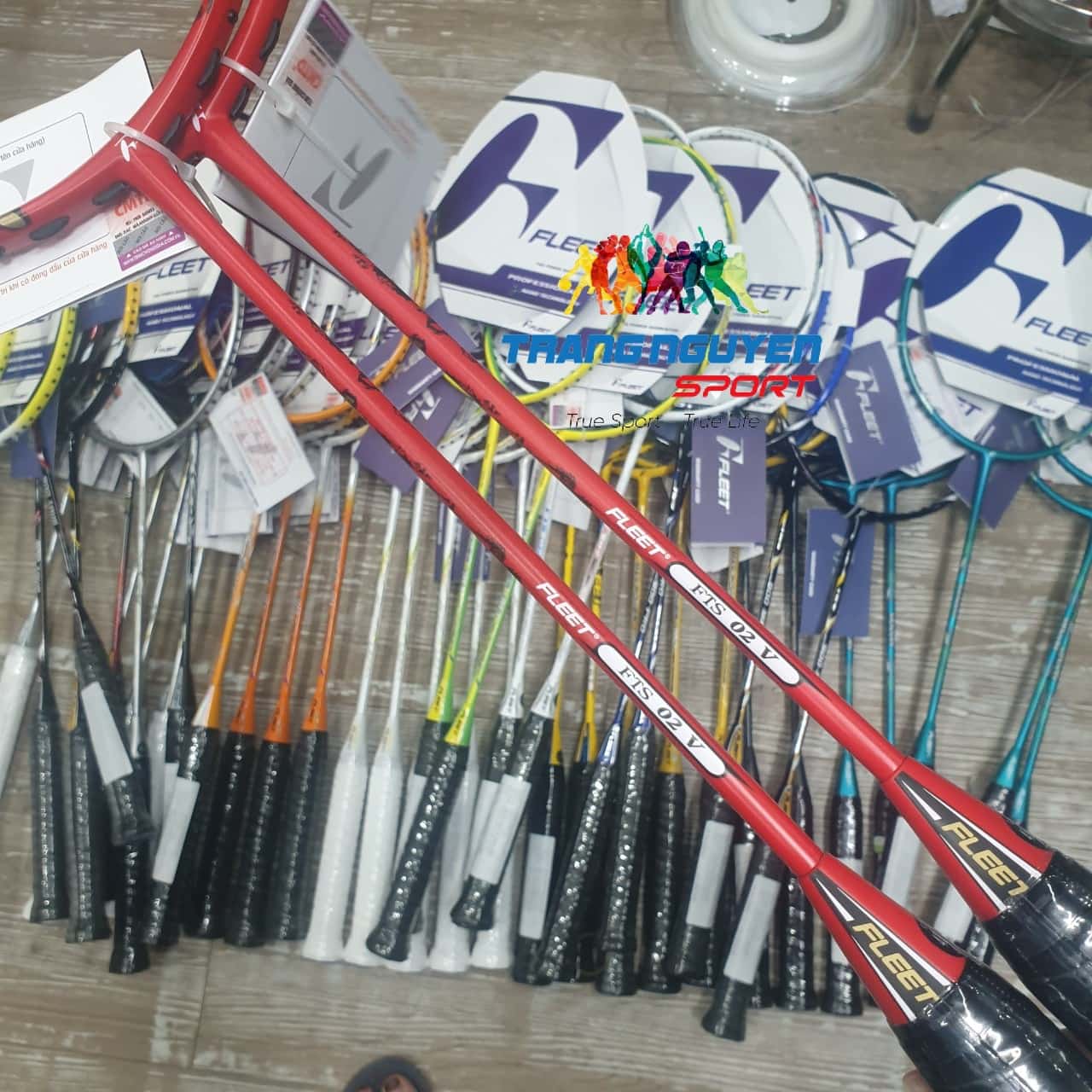 Vợt Cầu Lông Fleet FTS 02 V