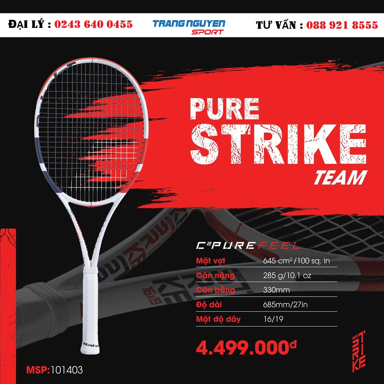 Vợt Tennis Babolat - Báo Giá Tổng Hợp
