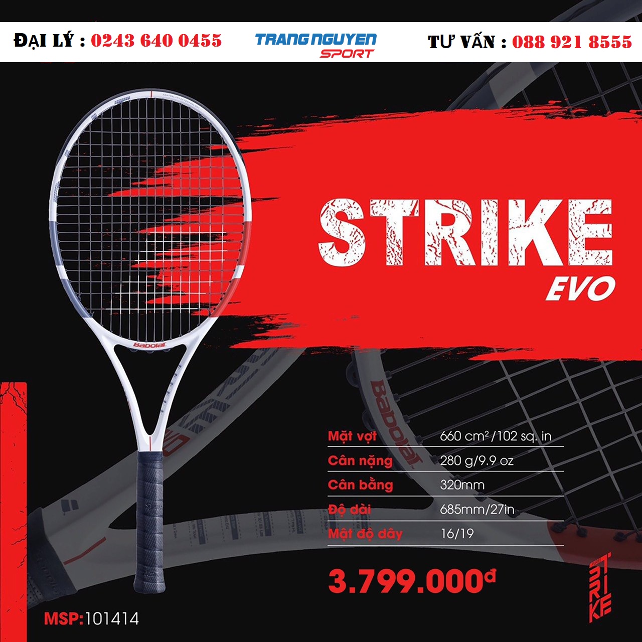 Vợt Tennis Babolat - Báo Giá Tổng Hợp