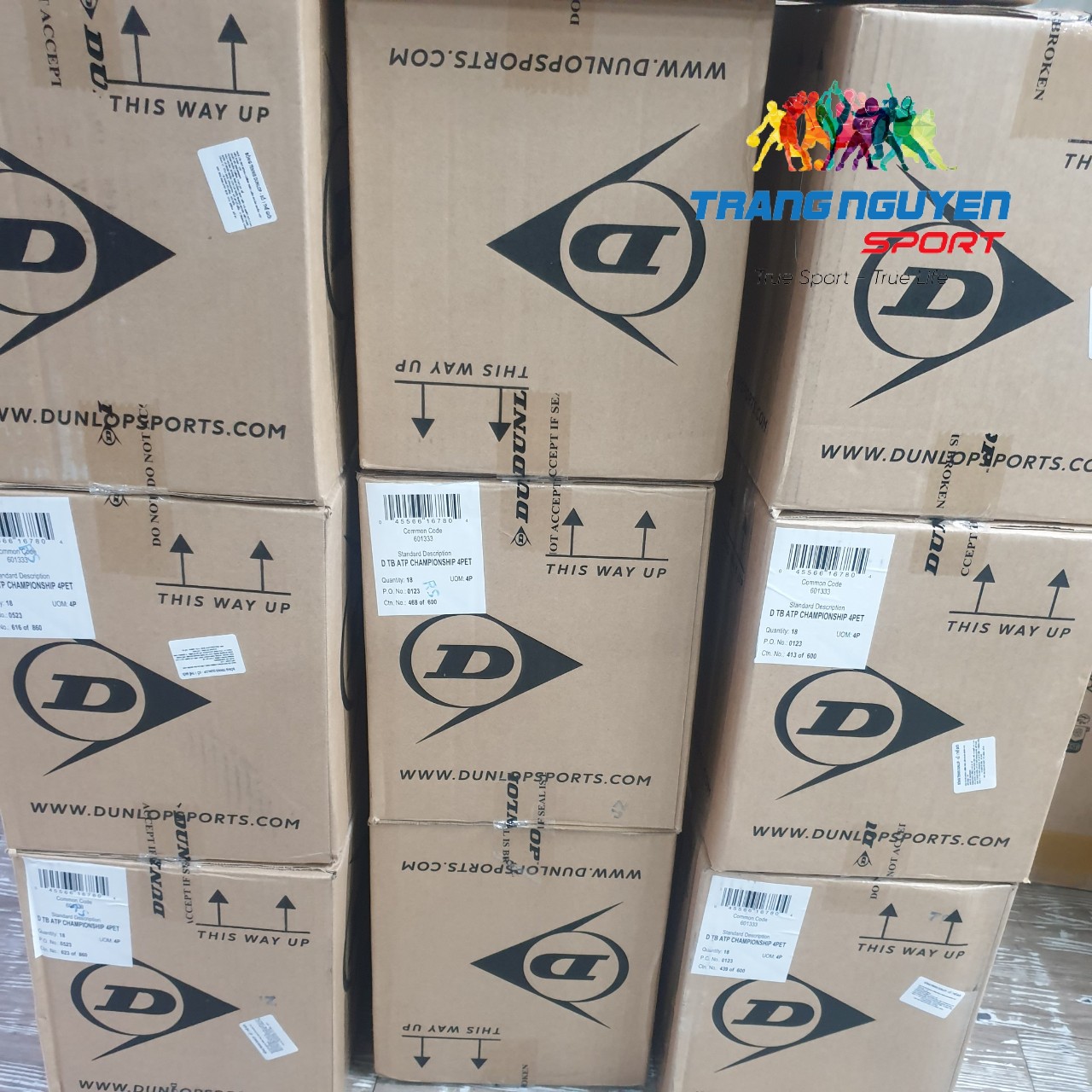 Bóng Tennis Dunlop ATP OFFICIAL (4 quả/hộp)