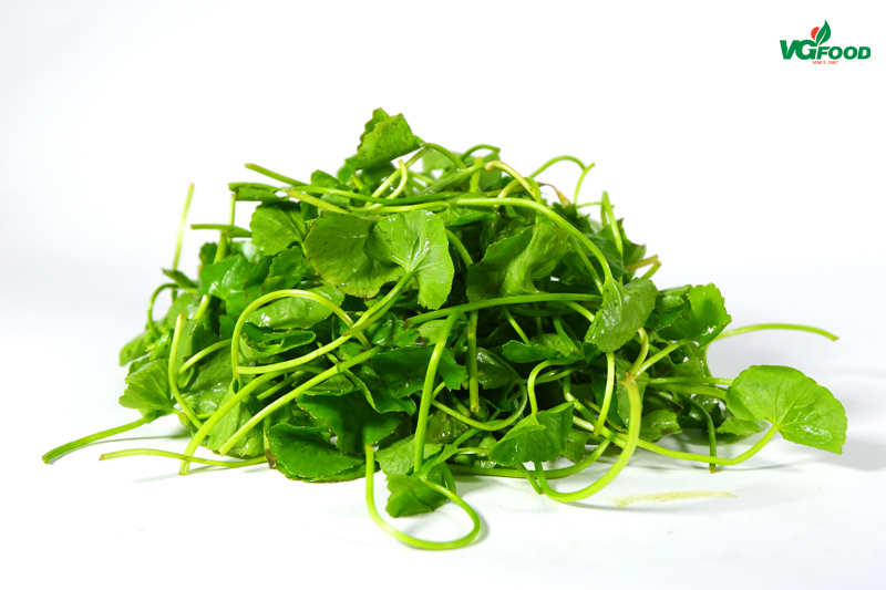 Giá Trị Dinh Dưỡng Của Rau Má Đậu Xanh