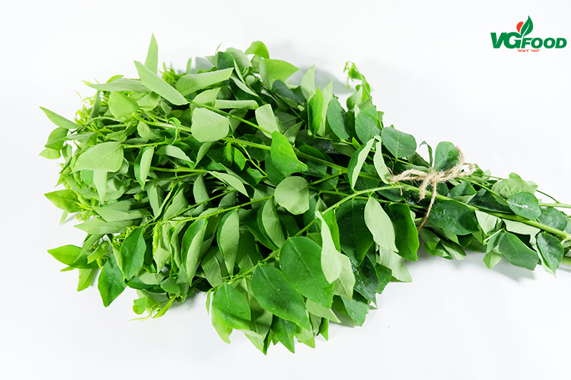 Rau ngót 300g Chuỗi cửa hàng VietGreenFood