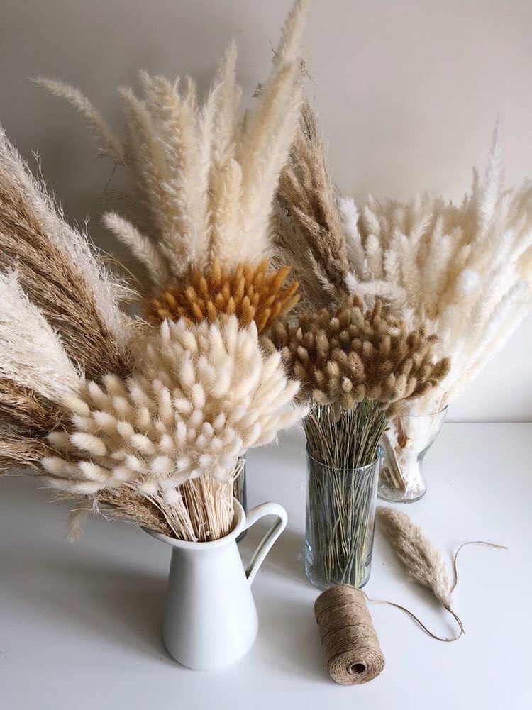 Cách trang trí hoa khô ấn tượng với cành đuôi thỏ khô - Bazaar Decor